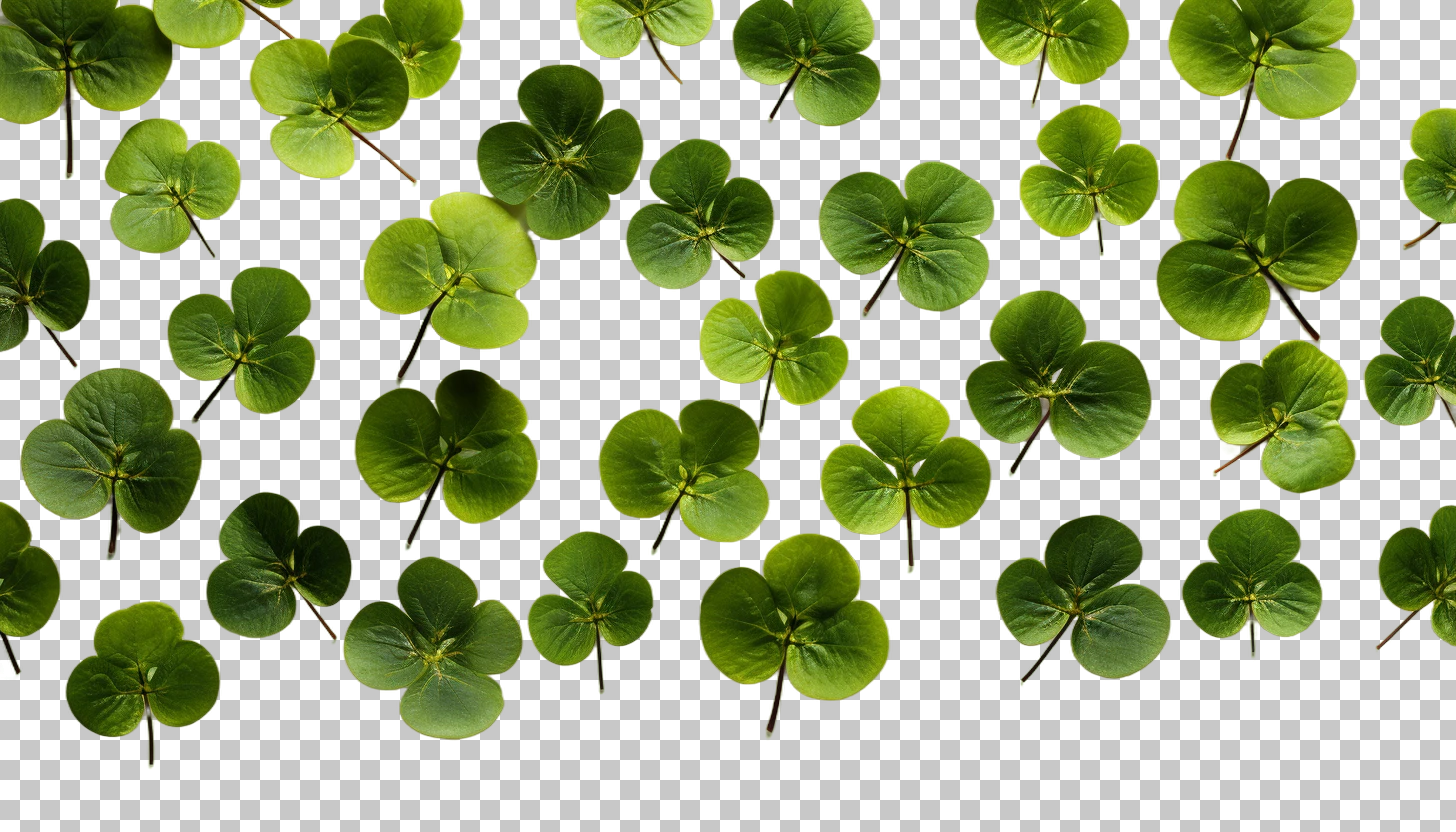 St. Patrick's Day png, Shamrock Symbolism, Irish Tradition