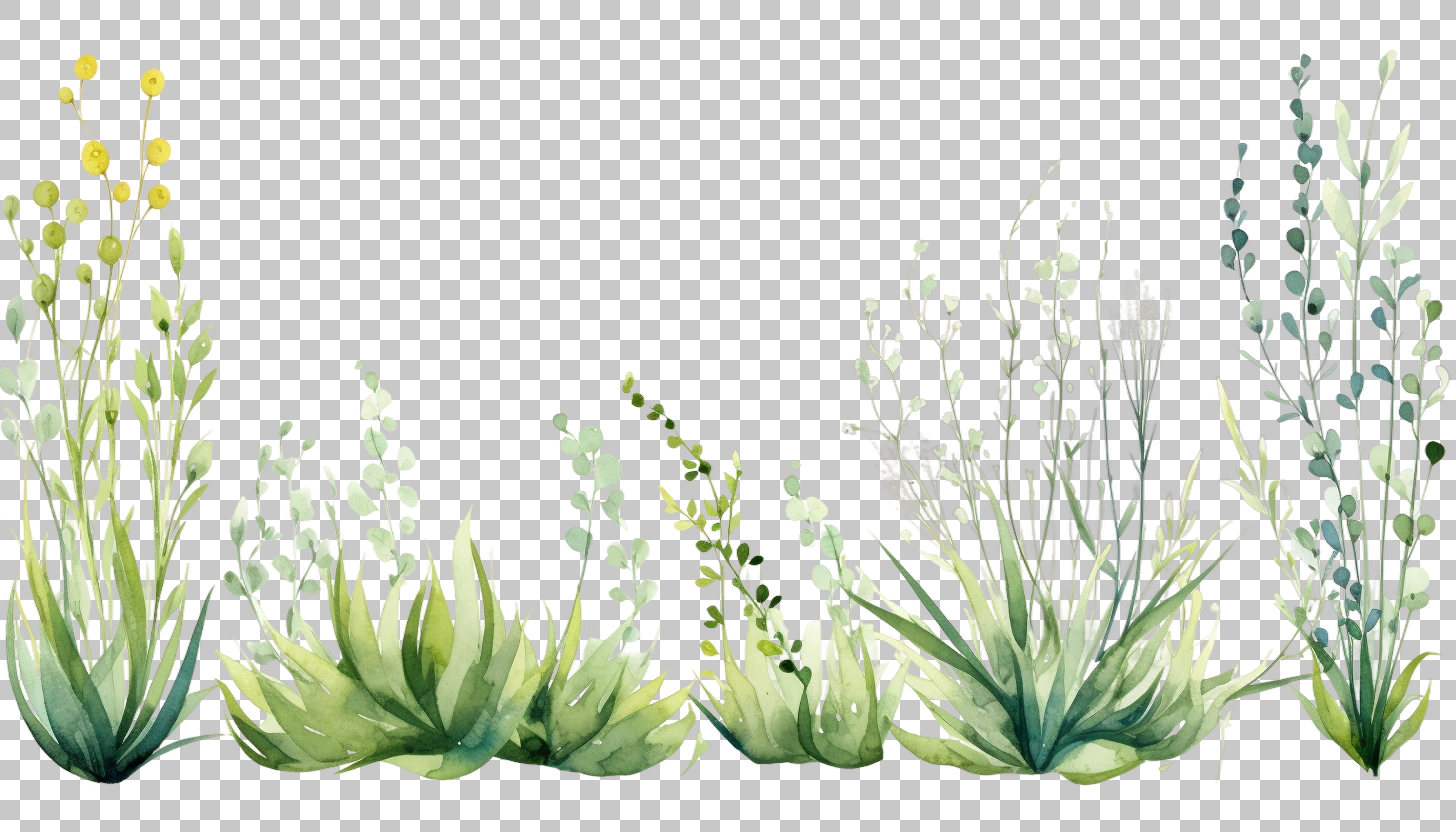 Watercolor Grass Border Set png, Greenery Illustration, Nature Art