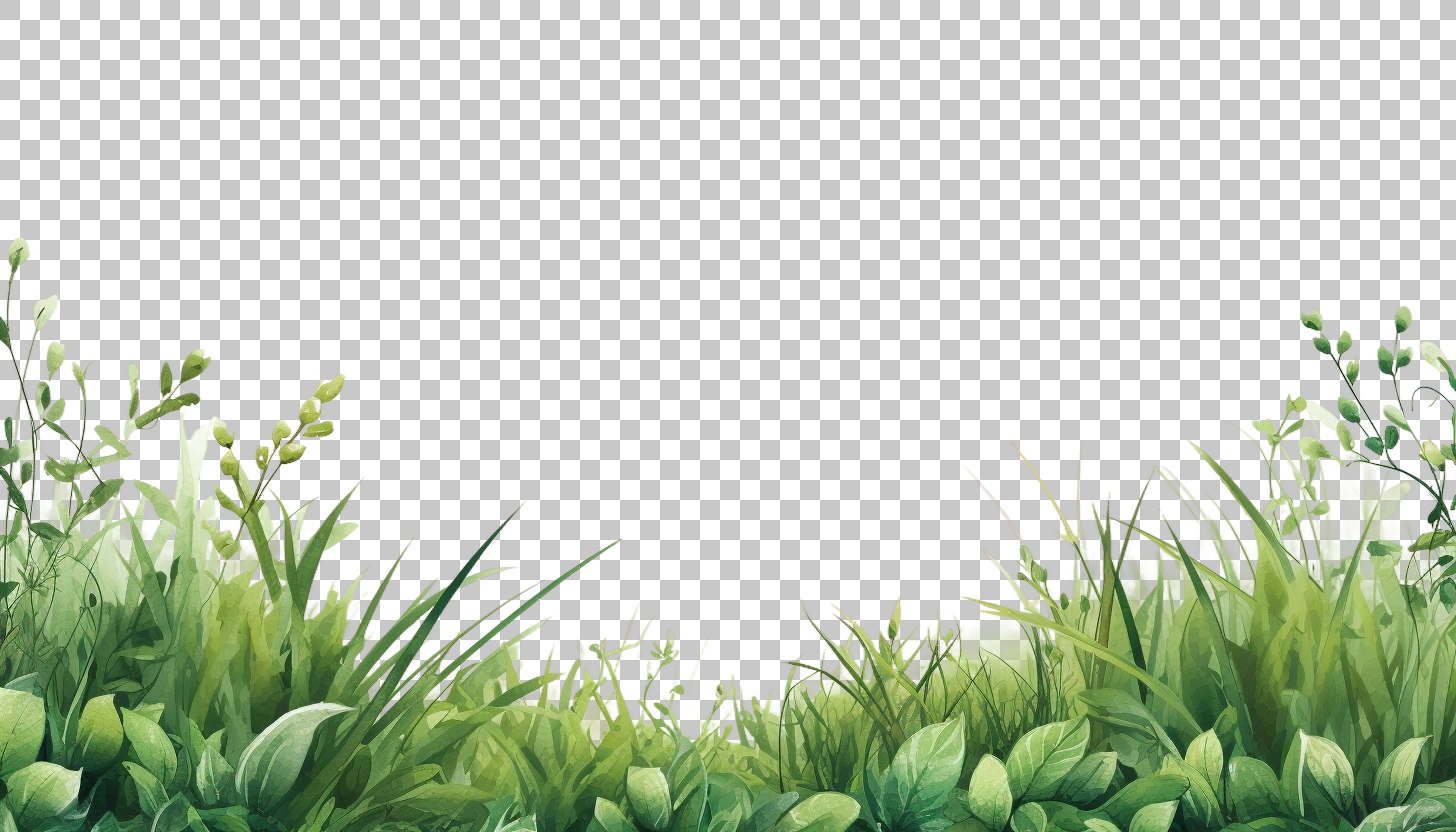 Watercolor Grass Border Frame png, Botanical Artwork, Decorative Design