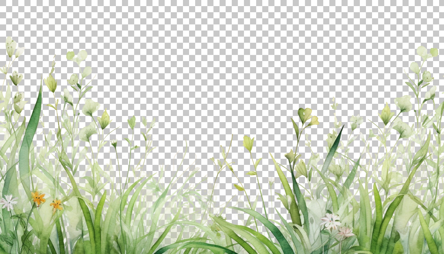 Watercolor Grass Border Frame png, Rustic Grass, Artistic Design