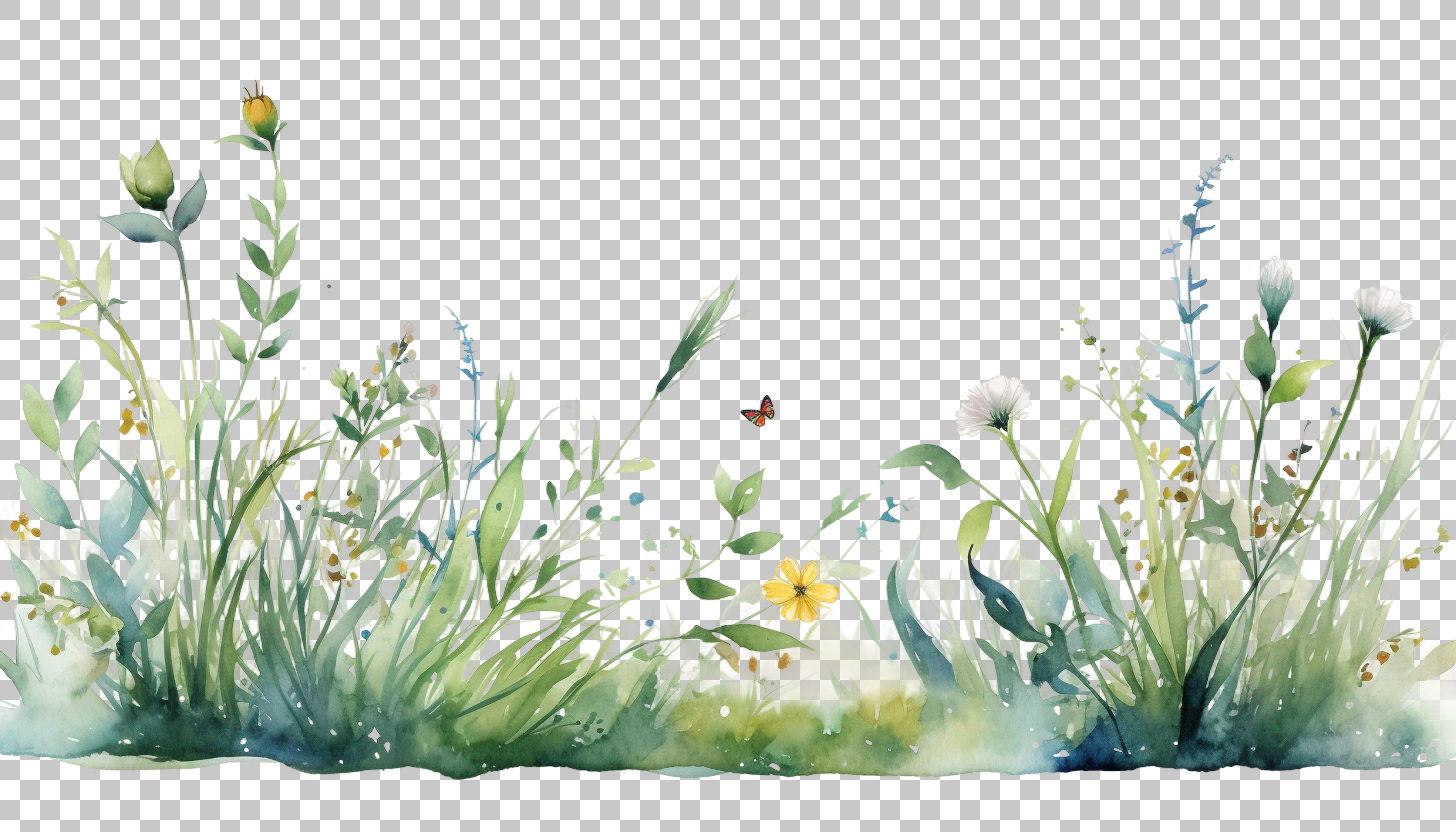 Watercolor Grass Border Frame png, Hand-drawn Grass, Nature Illustration
