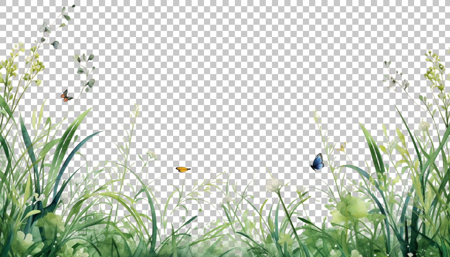 Watercolor Grass Border Frame png, Greenery Pattern, Decorative Art