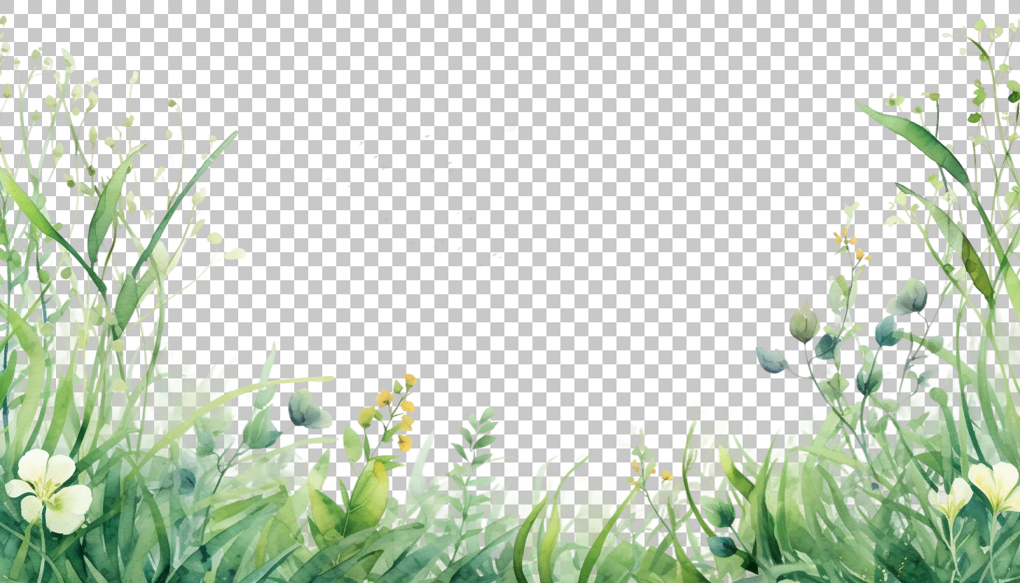 Watercolor Grass Border Frame png, Botanical Pattern, Artistic Element
