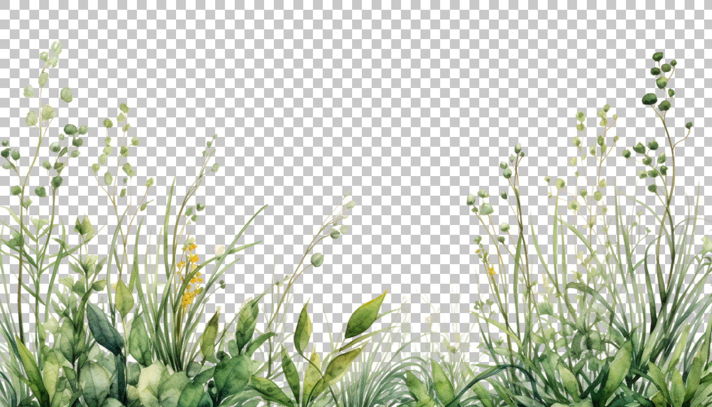 Watercolor Grass Border Frame png, Greenery Art, Decorative Design