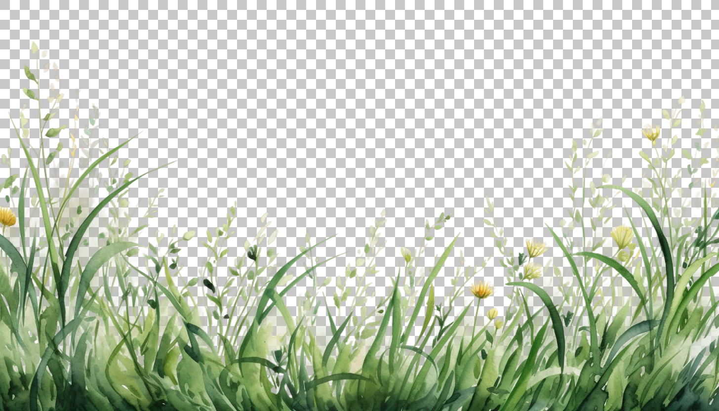 Watercolor Grass Border Frame png, Greenery Frame Design, Decorative Art