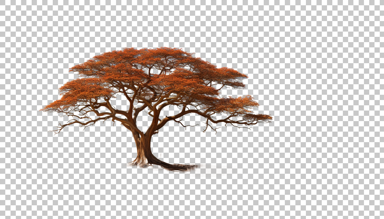 Acacia Tree Savanna png, African Safari, Outdoor Exploration
