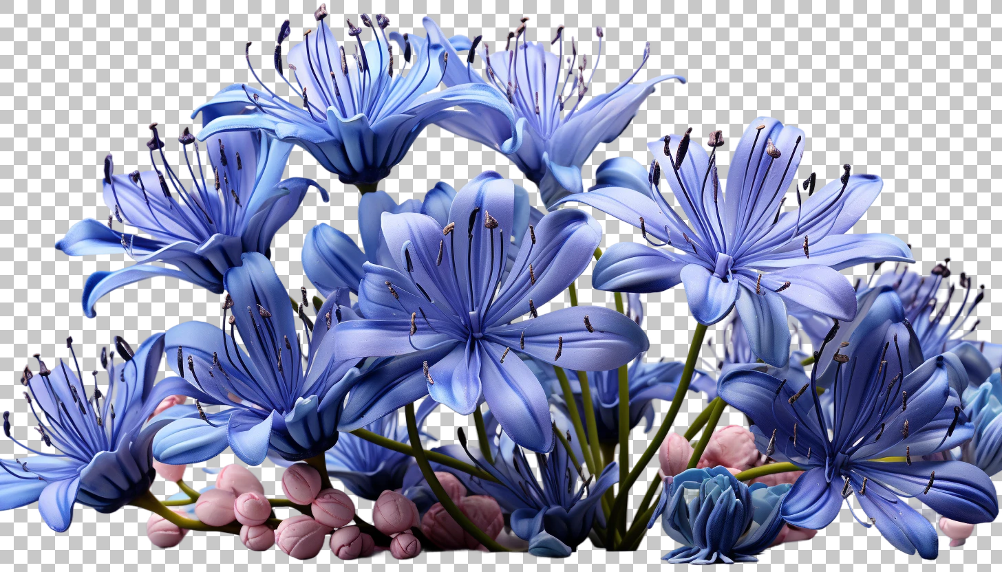 Agapanthus Africa Garden Flower png, African Beauty, Botanical Garden