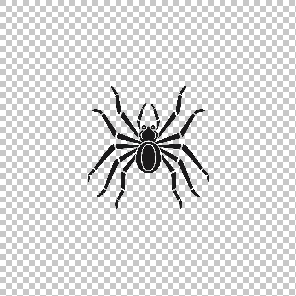 Spider Art Icon png, Arachnid Symbol, Web Illustration