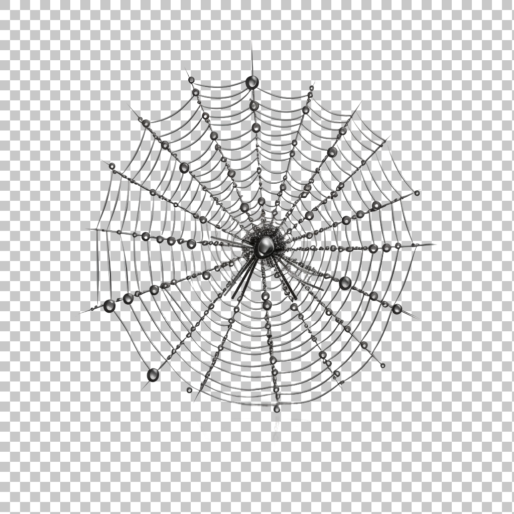 Spider Web Graphic Icon png, Cobweb Silhouette, Bug Illustration