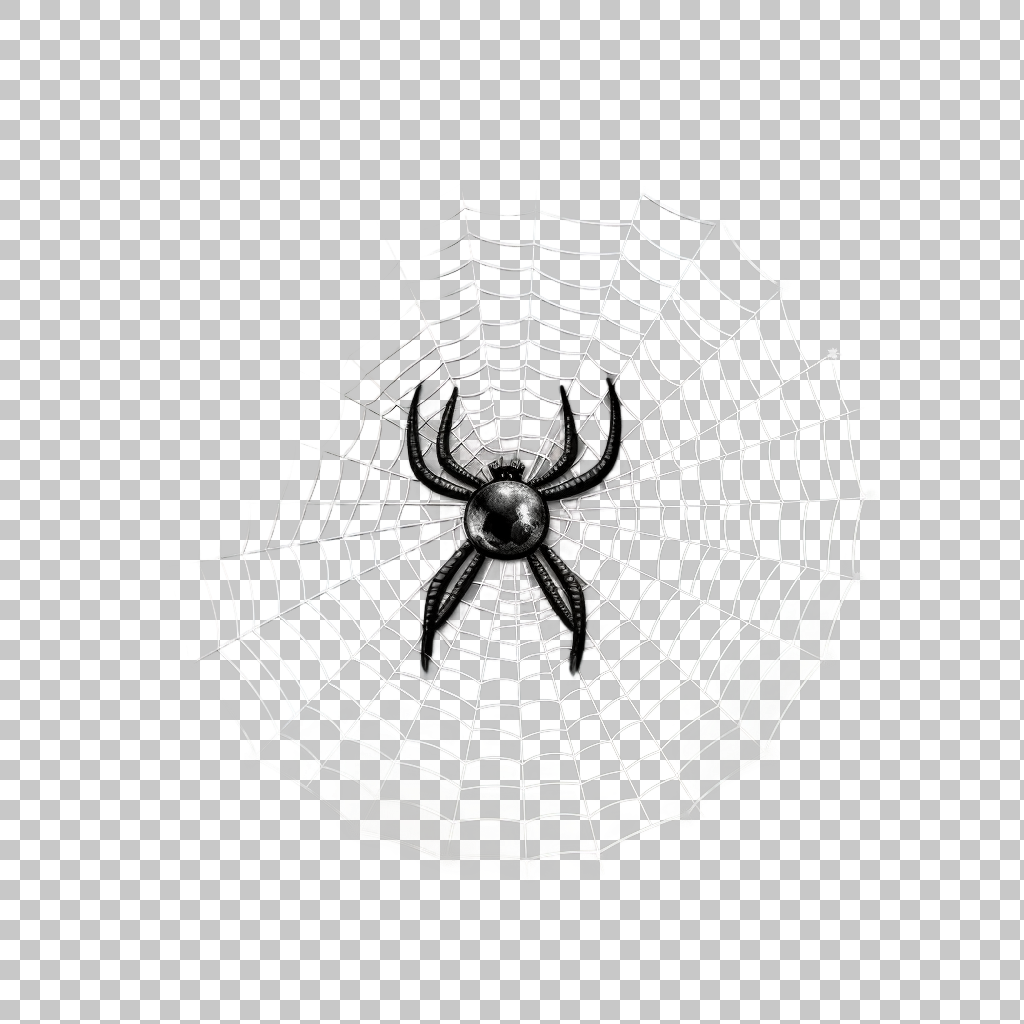 Spider Web Vector Icon png, Cobweb Silhouette, Bug Illustration