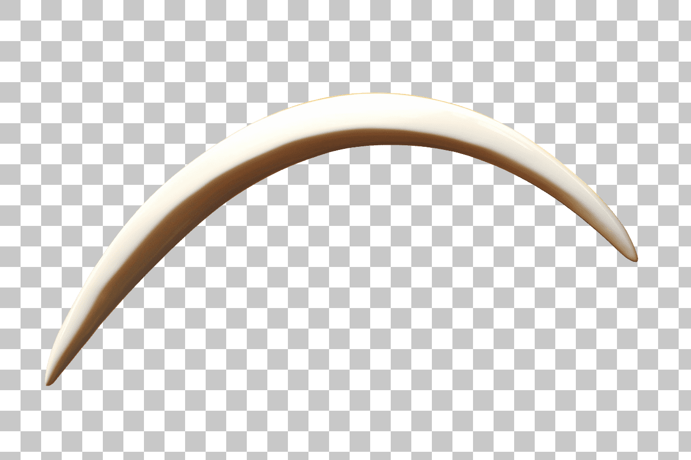Curved Ivory Clipart: PNG Image for Design Projects